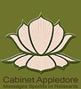 Cabinet Appledore