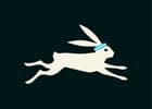 THE WHITE RABBIT