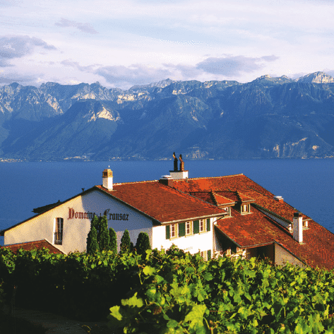 Domaine de la Crausaz