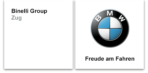 BINELLI GROUP ZUG
