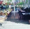 Boomerang Café Varini Dorothy