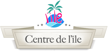 Centre de l'Ile SA