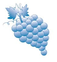 du Raisin