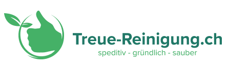 Treue Reinigung GmbH