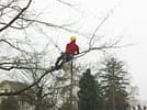 Poncet Jardins