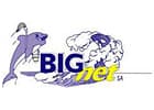 Big Net SA