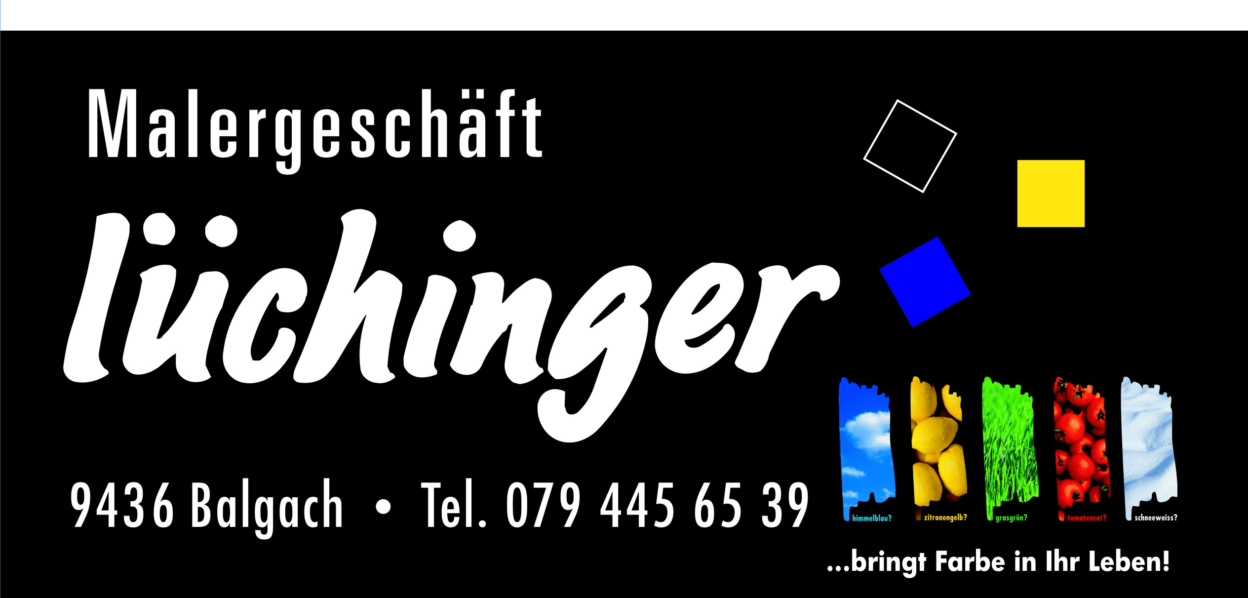 lüchinger malergeschäft ag