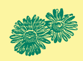 Blumen Eichenberger