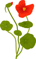 Wilde Blumen