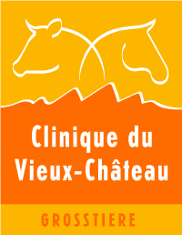 Clinique Vétérinaire du Vieux-Château Grands Animaux Sàrl (Grosstiere)
