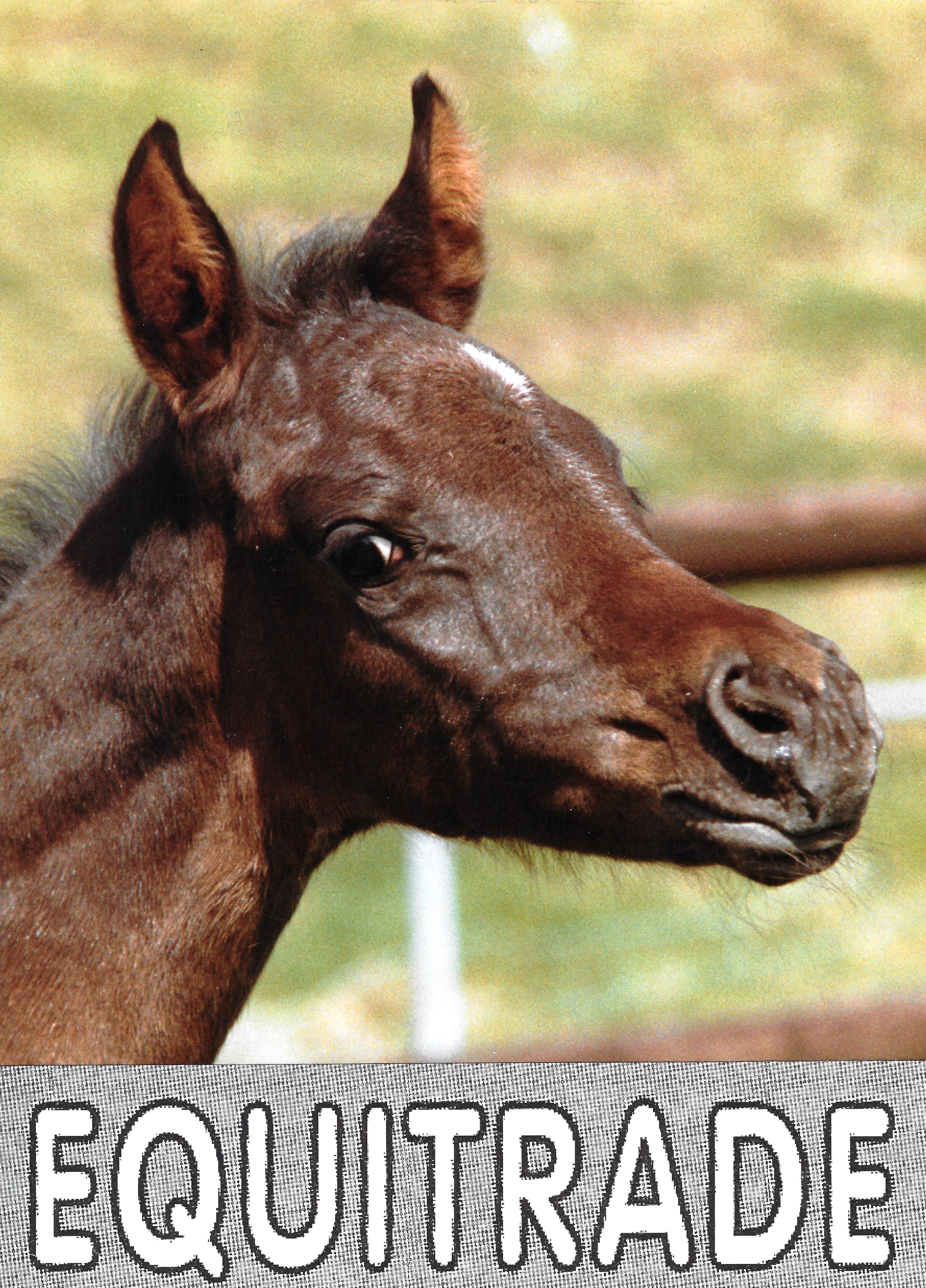Equitrade
