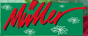 Blumen-Gärtnerei Müller