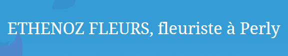 Ethenoz Fleurs S.A.