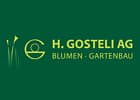 H. Gosteli AG