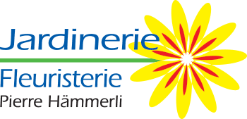 Hämmerli Pierre