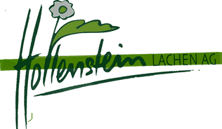 Hollenstein Lachen AG