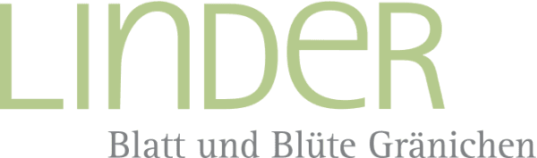 Linder Blatt + Blüte