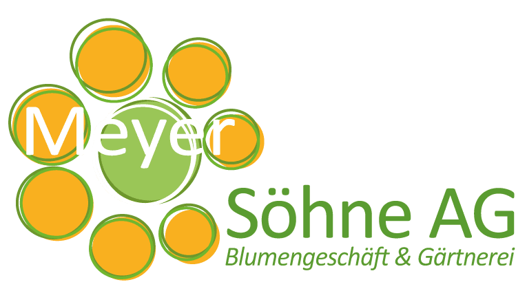 Meyer Söhne AG