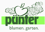 Pünter