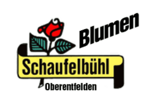 Schaufelbühl AG