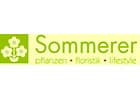 Sommerer & Co