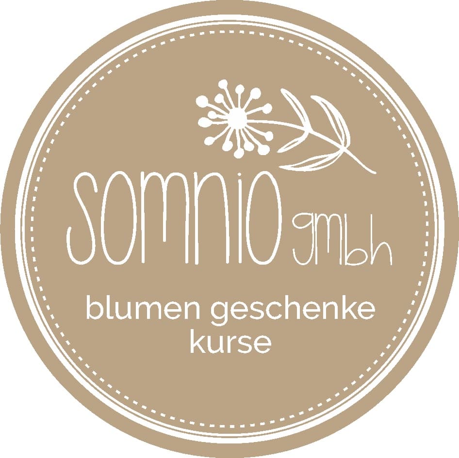 Somnio GmbH