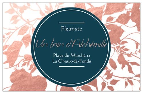 Un brin d'Alchémille