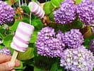 Blumen etc...