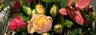 Blumen Ritter