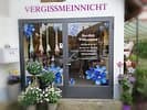 Blumen Vergissmeinnicht