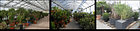 Greenpower Karl Gartwyl GmbH