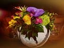 Aebi Fleurs