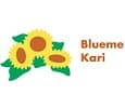 Blueme Kari AG