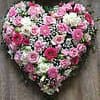 Blumen Aloha