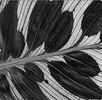 Blumen Atelier