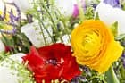 Blumen Bill