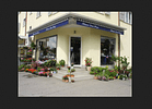 Blumen Dora Hugi