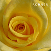 Blumen Rohner GmbH