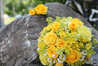 Blumen Sardi