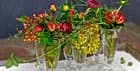 Blumen Umiker
