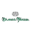 Blumen und Pflanzen
