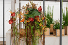 Blumenatelier Hombrechtikon GmbH
