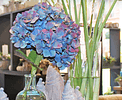 Blumenhaus Büchi
