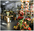 blumenprinz GmbH