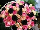 Carole HALIL# LE JARDIN DE CAROLE