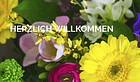 floreo Blumen & Dekorationen