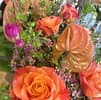 Laure-Fleurs