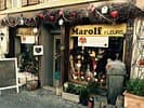 Marolf Fleurs Sàrl