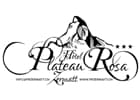 Plateau Rosa