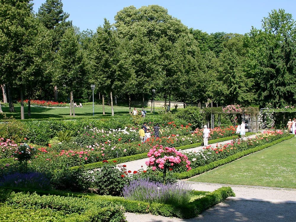 Roseraie (Rosengarten) — photo 1